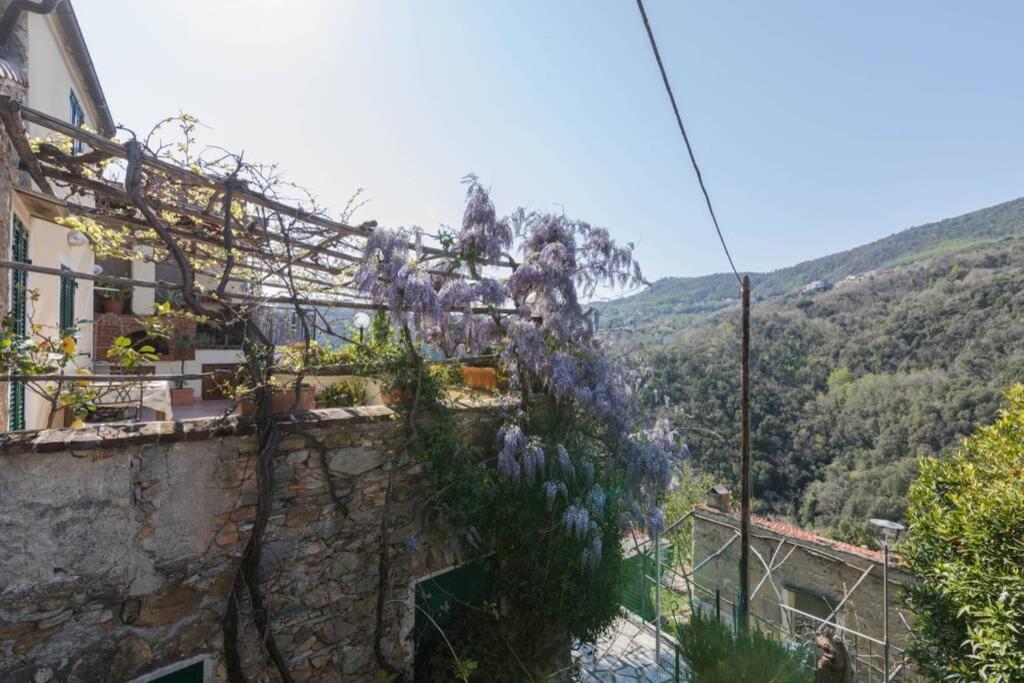 La Casa Di Sandra A Noli Villa Екстериор снимка