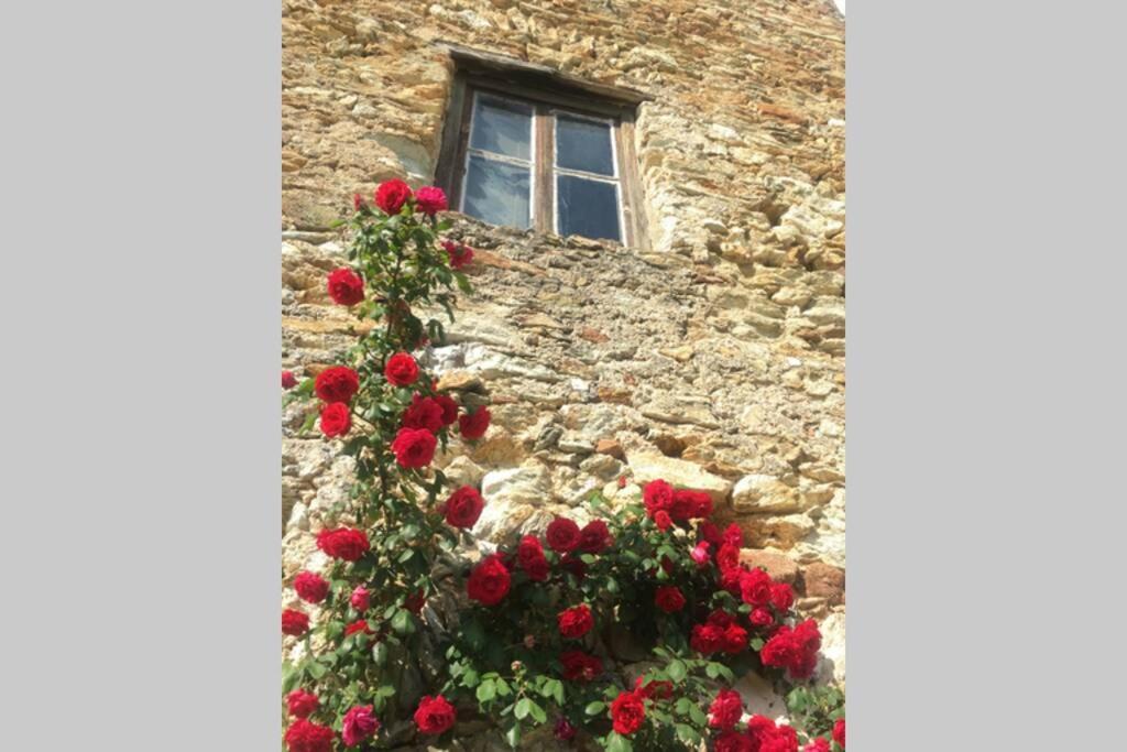 La Casa Di Sandra A Noli Villa Екстериор снимка